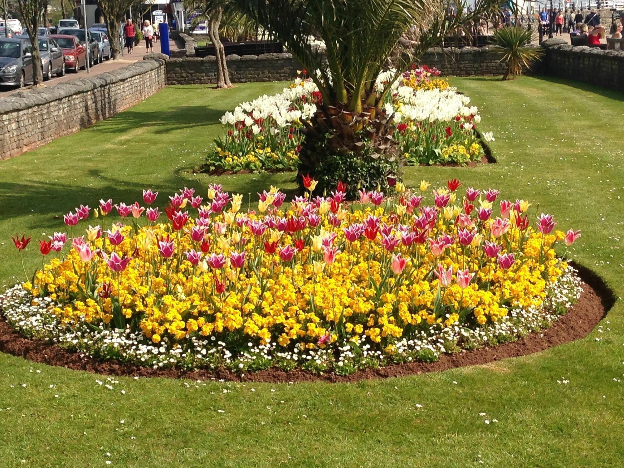 Lindum Lodge Torquay Eksteriør bilde